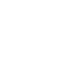 The Noite